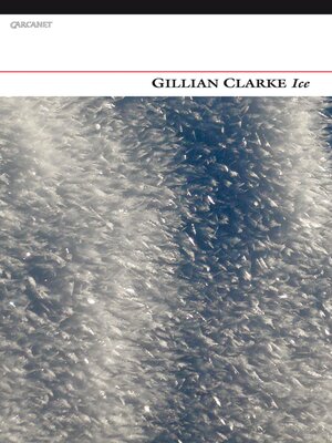 cover image of Ice